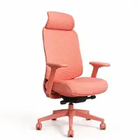 Worktrainer Olico Ergonomische Bureaustoel met Hoofdsteun en 3D-armleggers - Rood