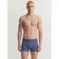 Jack & Jones Boxershorts 'JACCENTRAL' opaal / zwart / wit