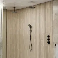 Saniclear Uni dubbele douche mat zwart met plafondarm en 3 standen handdouche