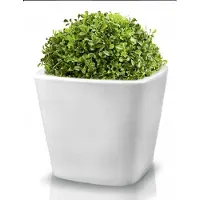 Polnix Klassieke Keramische Pot 36x33 cm - Wit Glanzend