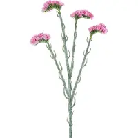 Easyplants | Kunsttak Statice 64 cm roze | Zijde | Nepbloemen | roze | Onderhoudsvrij | Kant-en-klaar