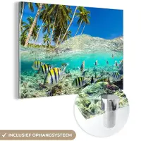 MuchoWow Glasschilderij 180x120 cm - Schilderij acrylglas - Zee - Vissen - Koraal - Foto op glas - Muurdecoratie woonkamer - Wanddecoratie slaapkamer - Schilderijen