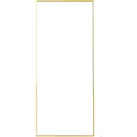 Happiq Staande Spiegel 150 X 40 Cm Goud - met Metalen Frame