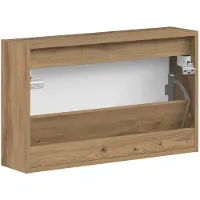 vidaXL Wandgemonteerde Schoenenkast HAARLEM 71 x 17 x 43 cm