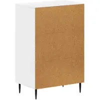 vidaXL Schoenenkast HAARLEM 59,5 x 39,5 x 89,5 cm Bewerkt hout