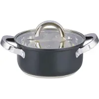 Alpina Kookpan met Deksel 1,9 Liter – RVS Pan 16 cm – Inductie – Glazen Deksel – Geschikt voor Alle Warmtebronnen