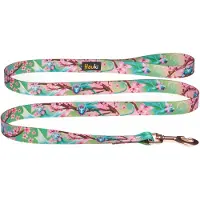 HAUKI Elegante Hondenlijn 150cm x 2cm - Kwaliteit & Nederlands Product