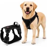 By Cee Cee Hondentuigje Hondenharnas - Anti Trek Tuig - Y Tuig Hond – Reflecterend Honden Tuigje – Zwart – Maat XL