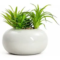 Homla - Kunstplant - Succulent in Pot - 19 cm