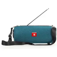 Gembird Draagbare BT speaker Petrol + FM Radio