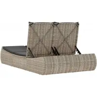 vidaXL Ligbed 2-persoons met kussens poly rattan lichtgrijs