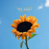 Pias The Snuts - Joy In Short Moments (CD)