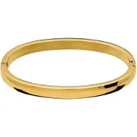 Lucardi - Kinder Stainless steel goldplated kinderbangle - Armband - Staal - Goudkleurig