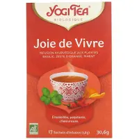 Yogi tea Joie de Vivre Bio 17 Zakjes