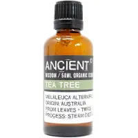 Ancient Wisdom Biologische Etherische Olie - Tea Tree - 50ml - Aromatherapie - Essentiële Oliën - Essentiële Tea Tree Olie