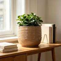 OKWISH Bloempot – Handgemaakt En Vorstbestendig – Ø 26 cm – Keramiek – Lichtbruin – Voor Binnen En Buiten – Met Afwateringsgaten