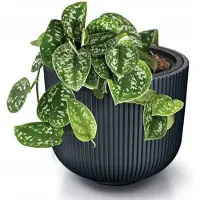 Prosperplast Milly Antraciet Bloempot met Inzet - 25,7 cm Hoog - Geribbeld