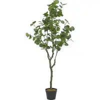 Home Deco Factory Kunstplant Eucalyptus