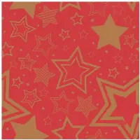 Duni Servetten Holiday Star Red 33x33cm.