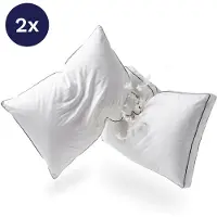 Zelesta PillowFight 50x60x10cm