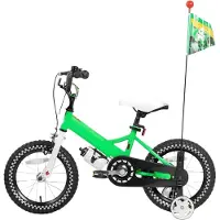 Happiq Kinderfiets – Voor meisjes 2–7 jaar – Met poppenfietszadel, streamers, vlag en nummerplaat – Green-12 Inch