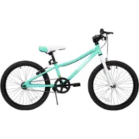 Happiq Kindermountainbike – Voor jongens en meisjes – Enkele snelheid / dubbele handremmen / standaard – Mintgroen / 51 cm