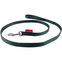 Champion Hondenlijn Groen 120cm - Duurzame PP-band, 1.6cm breed