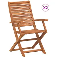 vidaXL Klapstoelen met armleuningen, 2 stuks, massief acaciahout