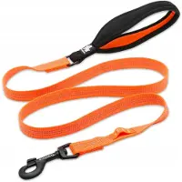 TrueLove Lumen Hondenriem met LED-lamphouder - Oranje, Maat S
