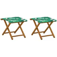 vidaXL Ligstoel, 2 stuks, massief eucalyptus hout, bladmotief