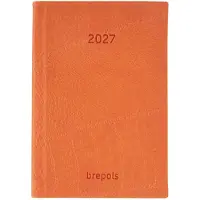Brepols agenda 2027 - DELTA [0.834] - LUCCA - Zakagenda - 1 week op 2 pagina's - Weekoverzicht - Oranje - 8.1 x 12 cm/Klein formaat!!