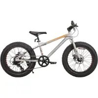 Happiq Kinder Mountainbike 61 cm – Voor Kinderen vanaf 5 Jaar – 7 Versnellingen – Dubbele Schijfremmen – Fat Tire Kinderfiets – Zilver