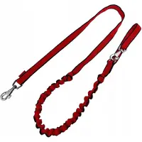 Champion Hondenlijn met Schokdemper - 250cm - Rood/Zwart