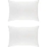vidaXL Hoofdkussen FULDA 2 st 50 x 70 cm 100% Ganzendons en veer Wit