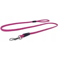 Champion Hondenlijn Traditioneel 1.2m/0.6cm Fuchsia voor Kleine Honden