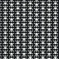 2lif Skulls Zelfklevende Folie Mini rol wit 45cmx2mtr