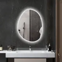 OKWISH Badkamerspiegel Asymmetrisch Met LED Verlichting En Touchbediening 70 X 50 Cm Glas Silver Voor Moderne Badkamer Met Anti Condens