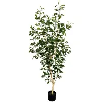 PrettyPlants Ficus Kunstplant 180cm | Grote kunstplant voor binnen | Kunst Ficus 180cm | Nep Ficus | Kunstboom 180cm Deluxe