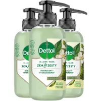 Dettol Handzeep – Antibacterieel – Zen & Zesty – Groene Thee & Bergamot – 300 ml x3