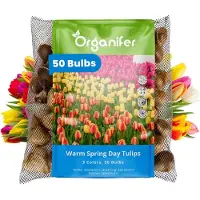 Organifer Tulpenbollen - 50 Bloembollen - Warm Spring Day - Apeldoorn Mix Geel Oranje Rood -