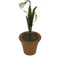 Meander Sneeuwklokjes in pot - decoratief beeld - botanische sfeer