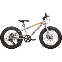 Happiq Kinder mountainbike 51 cm Fat Tire – Voor kinderen vanaf 5 jaar en strand- en terrein gebruik – Met 7 versnellingen en dubbele schijfremmen – Zilver frame
