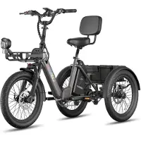 Fafrees F20 Mate II Elektrische Driewieler – 21Ah Accu, 85km Bereik, 65Nm Koppel – Voor Senioren & Dagelijks Gebruik Gunmetal Black