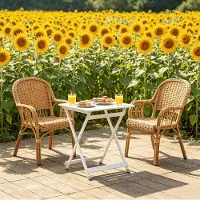 HAUSS SPOLE Campingtafel - Opvouwbaar En Draagbaar Voor Camping Strand En Tuin - Aluminium Constructie Met Antislip Voetpads - 50,5x46,5x60 Cm