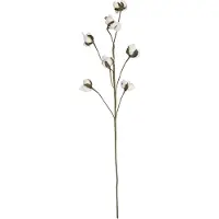 Mars & More siertak katoenplant 80cm*