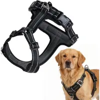 Peluvio Mate – Hondentuig met Reflectie - Maat L – Duurzaam Nylon – Ergonomisch Guard Tuig – Antiroest Gespen – Sneldrogend & Weerbestendig – Comfort & Controle voor Actieve Honden