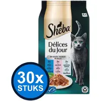 Sheba 30x - Délices du Jour pouch gelei vis sel mp 6x50gr - Kattenvoer Natvoer - 300 g