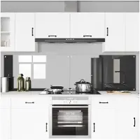 vidaXL Keukenachterwand 2 st Donkergrijs 110 x 60 cm gehard glas