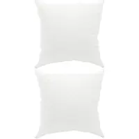 vidaXL Hoofdkussen FULDA 2 st 40 x 40 cm 100% Ganzendons en veer Wit