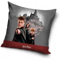 Carbotex Harry Potter Kussens Fluweel 40x40 cm - Zachte Microvezel
